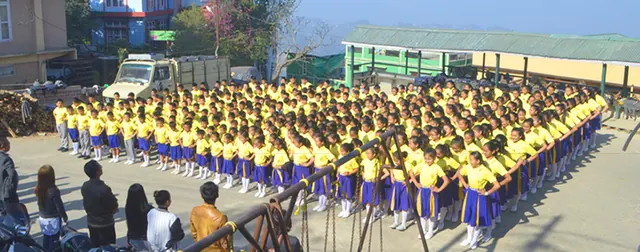 Primary Section